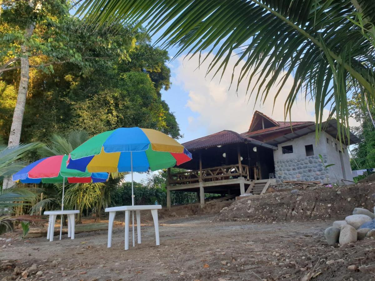 Playa Tortuga Διαμέρισμα Puerto Misahuallí Εξωτερικό φωτογραφία