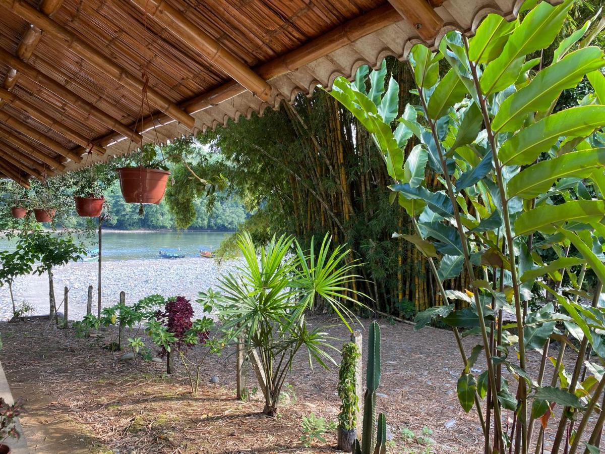 Playa Tortuga Διαμέρισμα Puerto Misahuallí Εξωτερικό φωτογραφία