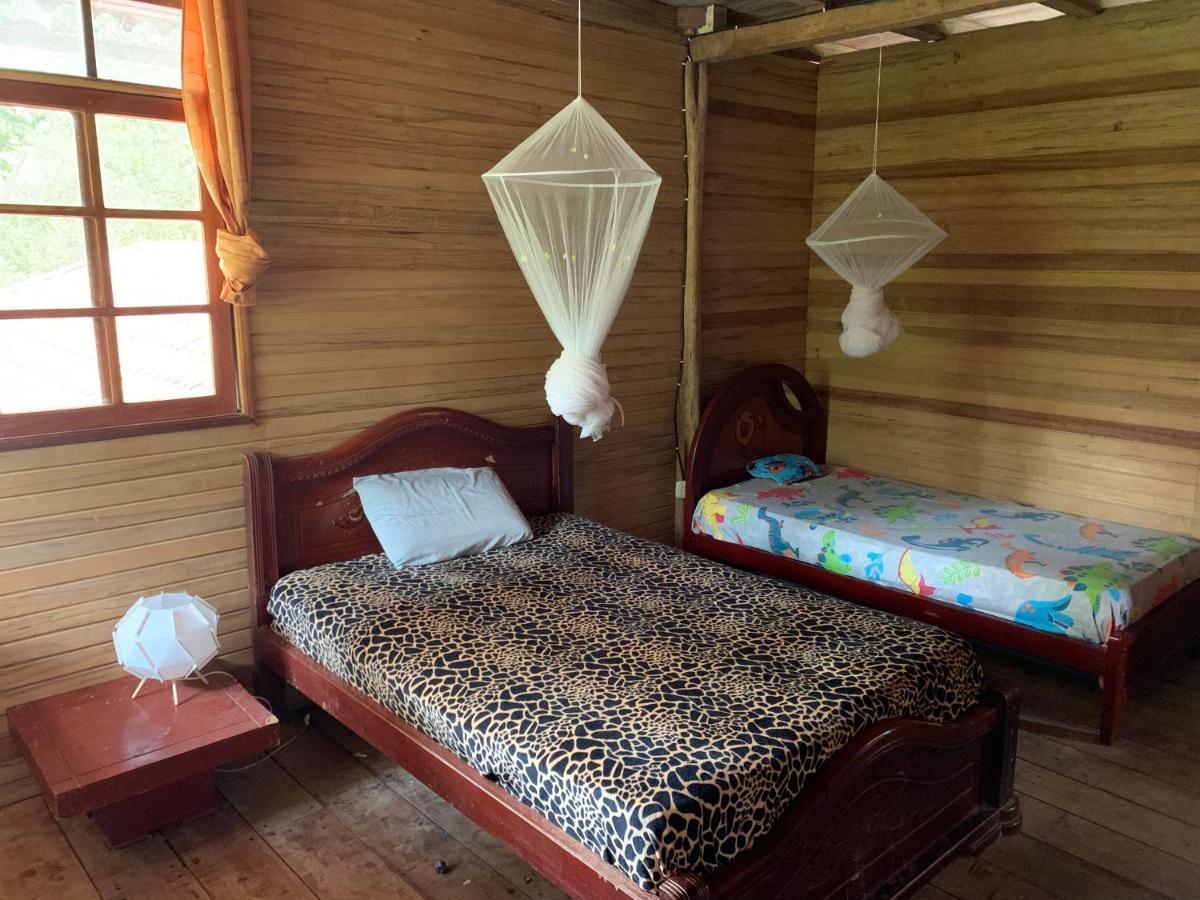 Playa Tortuga Διαμέρισμα Puerto Misahuallí Εξωτερικό φωτογραφία