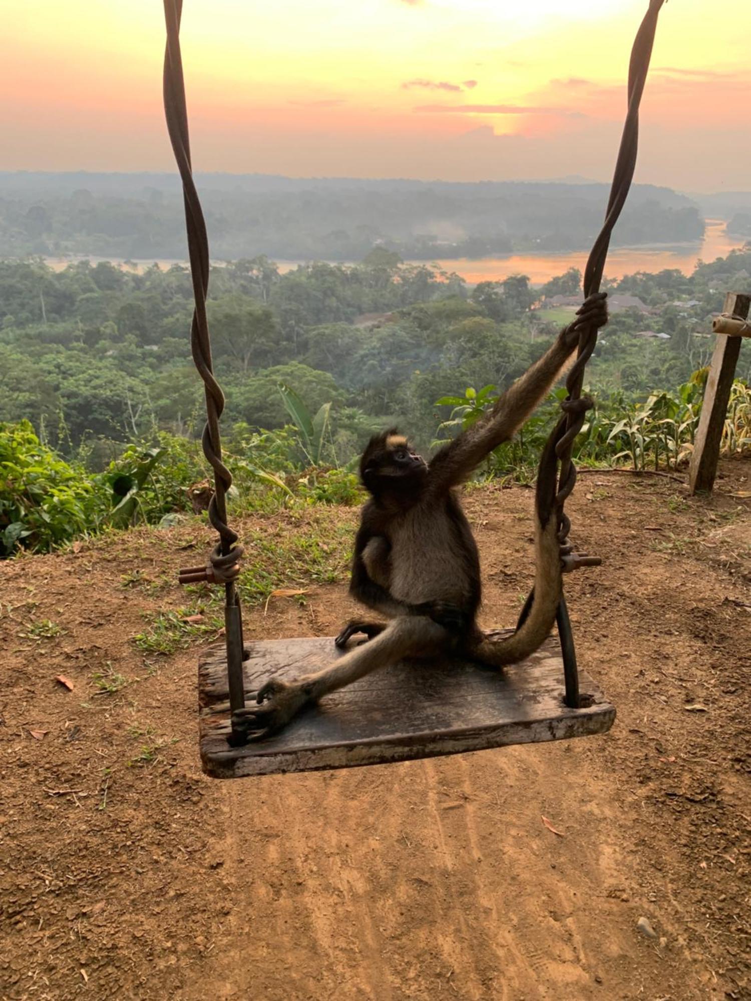 Playa Tortuga Διαμέρισμα Puerto Misahuallí Εξωτερικό φωτογραφία